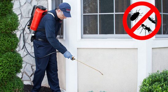 Bor Kemirgen İlaçlama böcek ilaçlama ve haşere kontrolü — ilaclama-tr.com